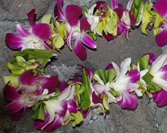 Fresh Purple Orchid and Fragrant Tuberose Lei