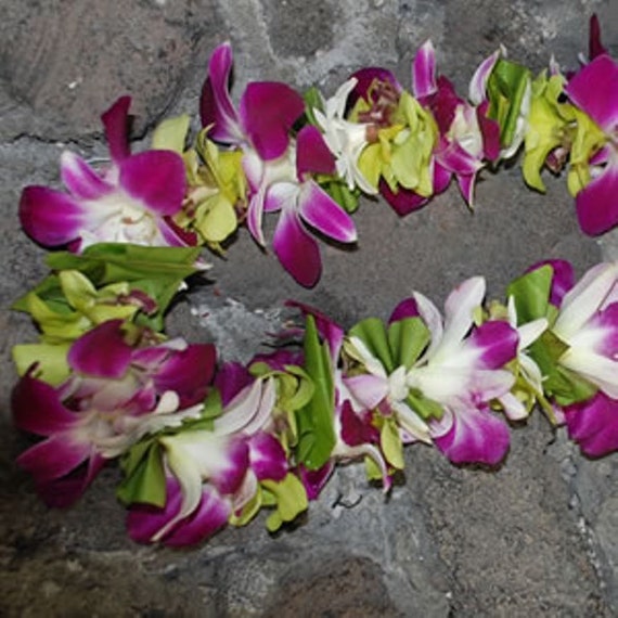 Fresh Purple Orchid and Fragrant Tuberose Lei