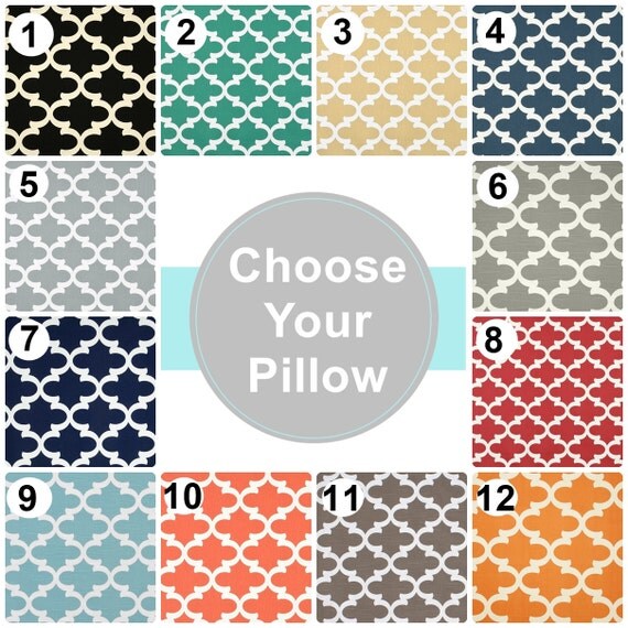 Any Size.Throw Pillow. Lumbar. Euro Sham Cushion Cover.