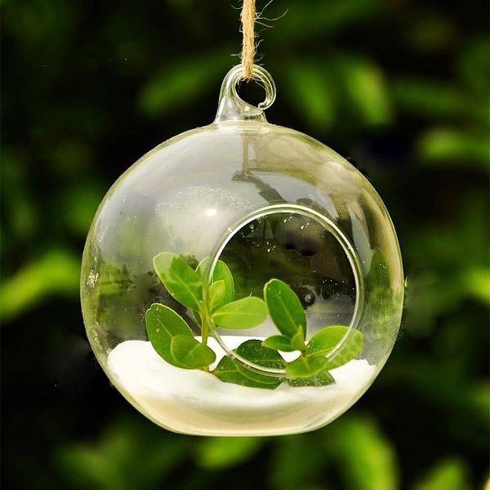 6cm Glass Hanging Planter Air Plant Terrarium Globe Container