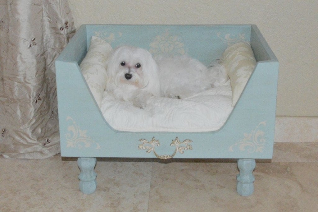 Shabby Chic Designer Wood Dog Bed Robin Egg Blue by RubyPetal