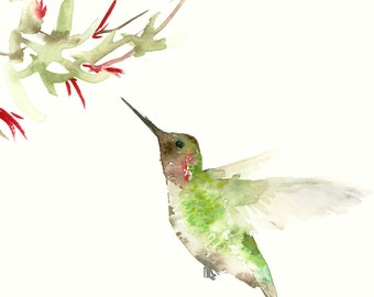 Humming Bird Art Print from Original Bird Watercolor
