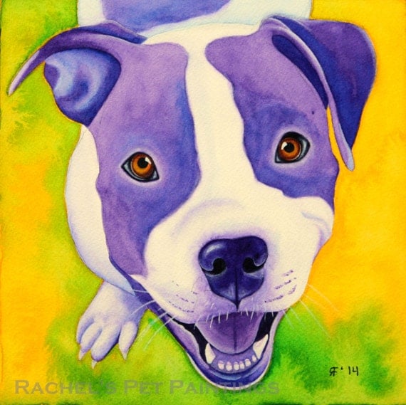 Pit Bull Painting 8x8 Print Painting of Dog Watercolor