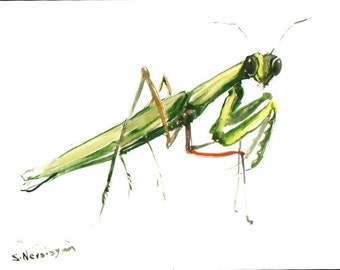 Popular items for praying mantis on Etsy