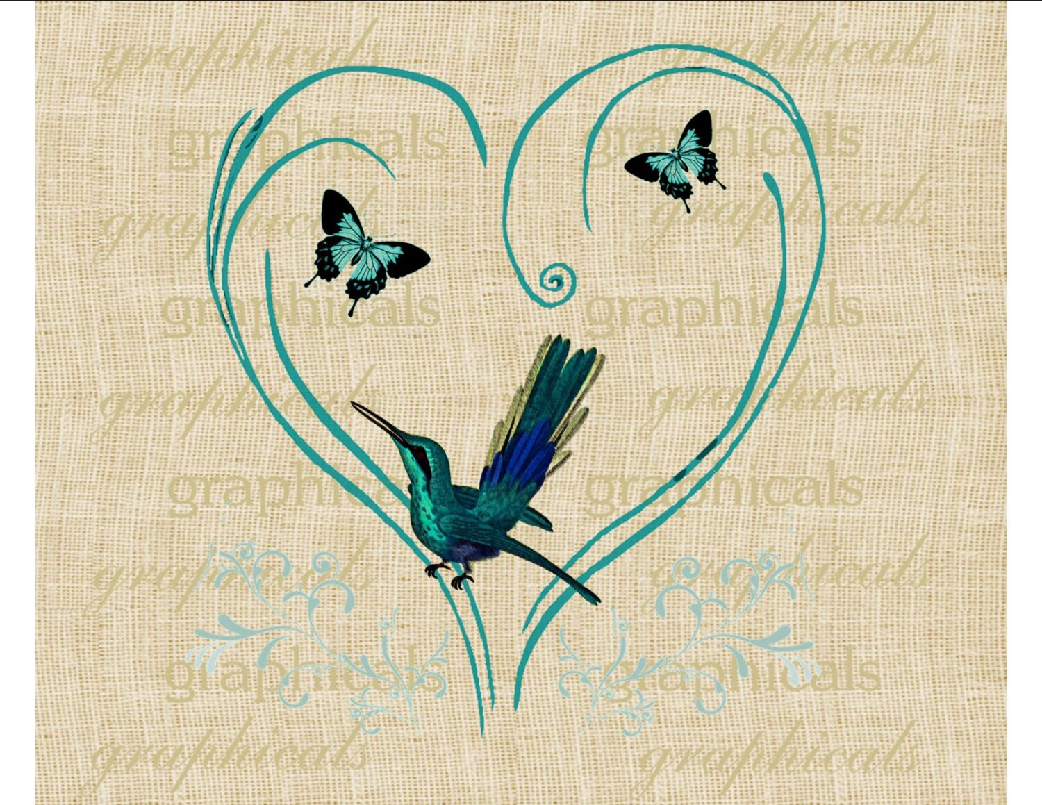 Hummingbird heart facts picture