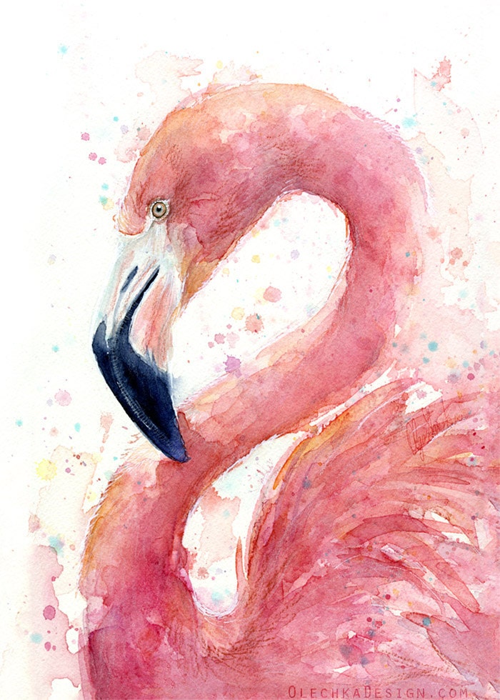 flamingo clipart watercolor