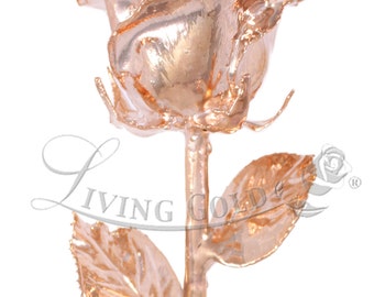 24k Gold Roses & Platinum Roses by Living Gold Co. by LivingGoldCo