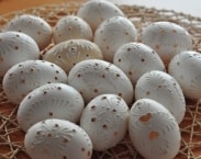 Drilled Madeira Easter eggs