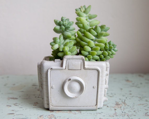 Camera Planter - cement retro home decor, hipster chic, garden succulents