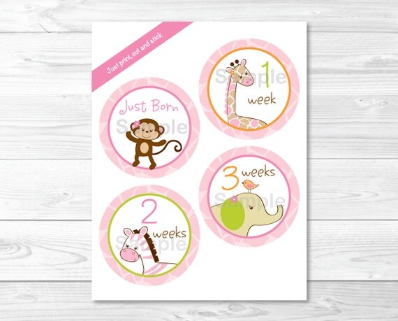 Girl Jungle Animal Monthly Milestone Stickers / Pink Jungle Animal Milestone Stickers / Iron Ons / Printable INSTANT DOWNLOAD Il_570xn