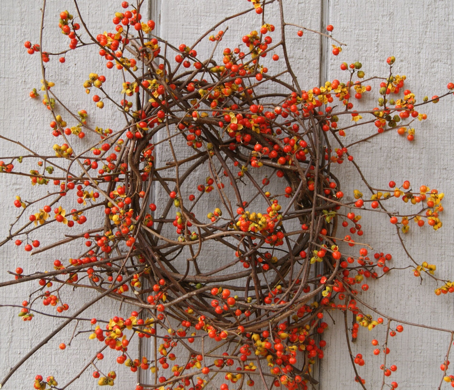 fresh-bittersweet-wreath-fall-wreath-bittersweet-vine-and