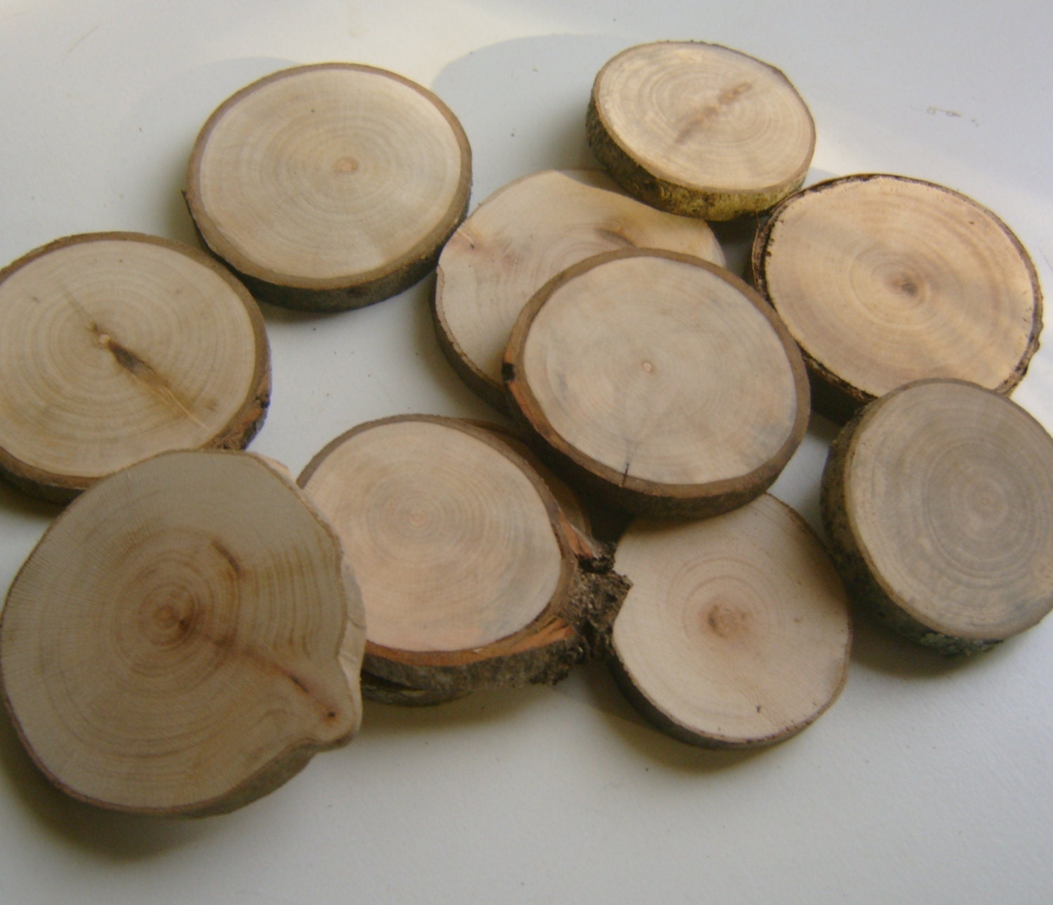 10 Tree Branch Slices 2.5 inch