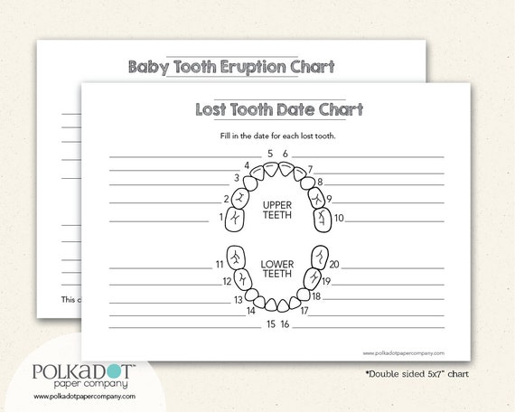 Closeout Baby Tooth Record Keepsake Chart