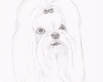 Maltese Note Cards - Gift Set of Eight - Free Shipping US - Original Pencil Art Design - Desert Impressions