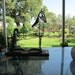 Metal Horse Sculpture of Tennessee Walking Horse-ON SALE!!!