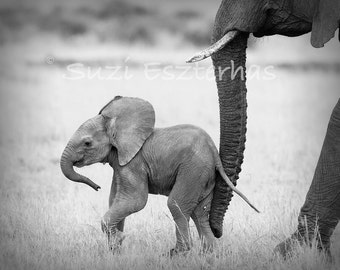 SAFARI BABY ANIMALS, Set of 4 Black & White Photos, Elephant, Lion, Cheetah, Giraffe, African Wildlife Photography, Safari Nursery Wall Art