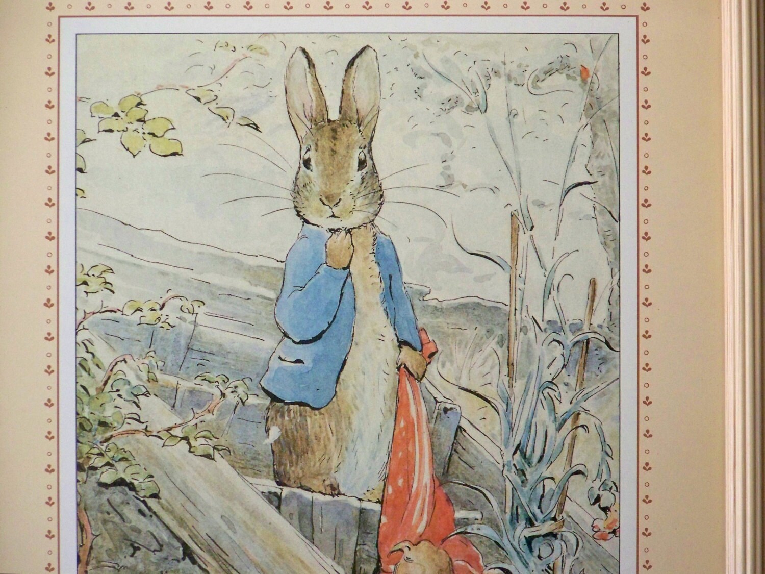 Vintage Peter Rabbit Framed Print Beatrix Potter