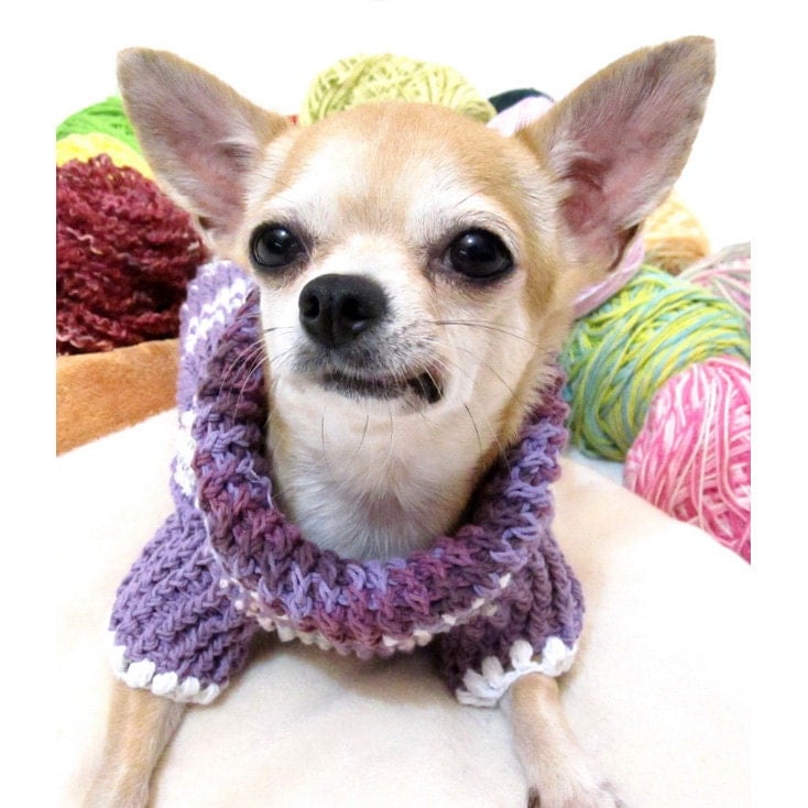 Warm Teacup Chihuahua Sweater Knit XXS Dog Clothing by myknitt