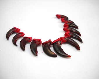 Multipack Coyote Claws DRILLED RED Real Bone Taxidermy Genuine Bones Pendant Beads