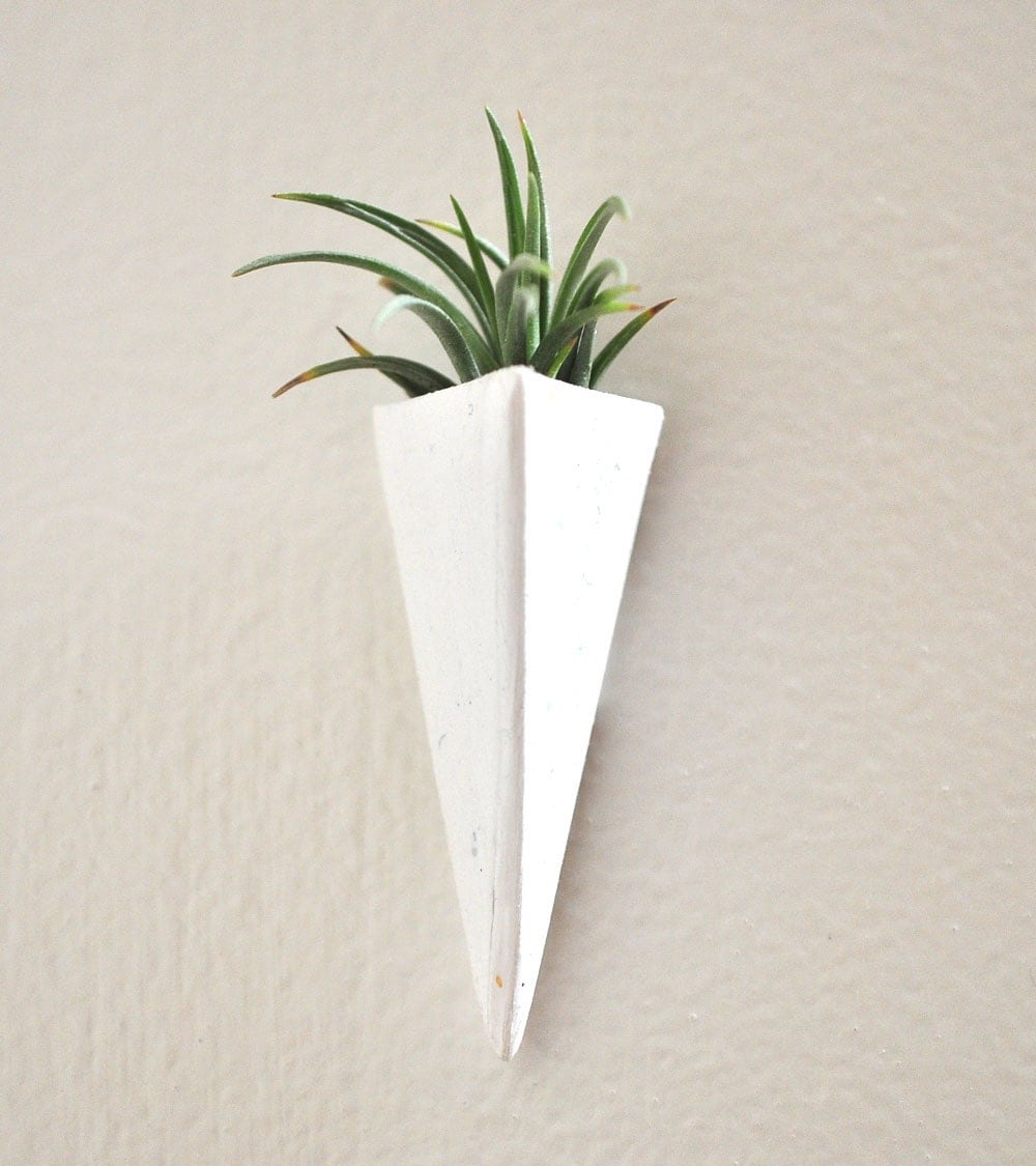 no plant wall mount mini air plant planter white by claydelys1 no plant wall mount mini air plant planter white by claydelys1