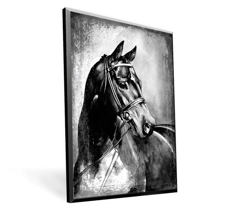 Equestrian Horse Large Print Black and White Get the