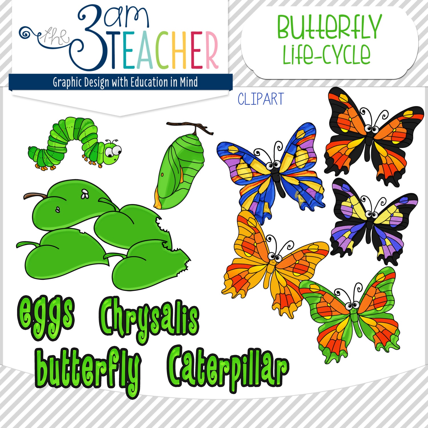 free clip art butterfly life cycle - photo #25