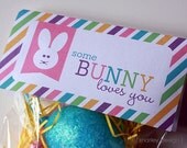 Some Bunny Loves You Printable Instant Download Easter Treat Bag Topper DIY Digital PDF Printables Il_170x135