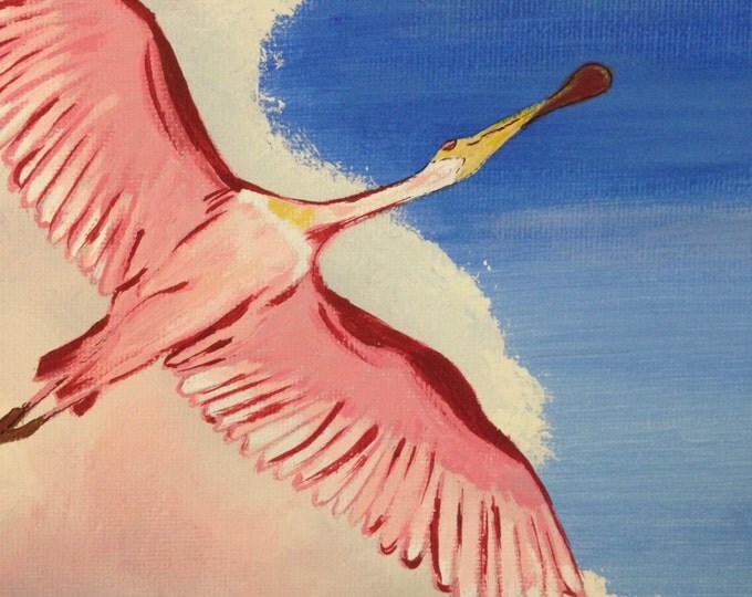 Variegated Spoonbill - 12 x 12 acrylic painting