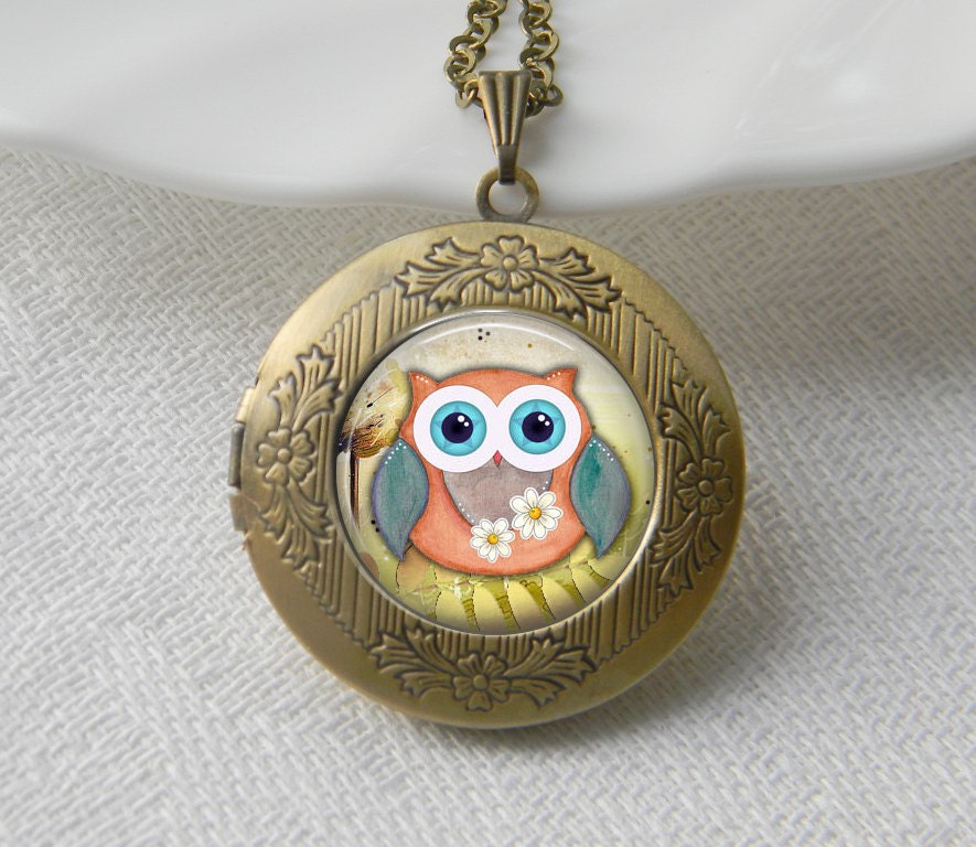 Owl Necklace Locket Women Necklace Jewelry Art Photo By Printglass 6306