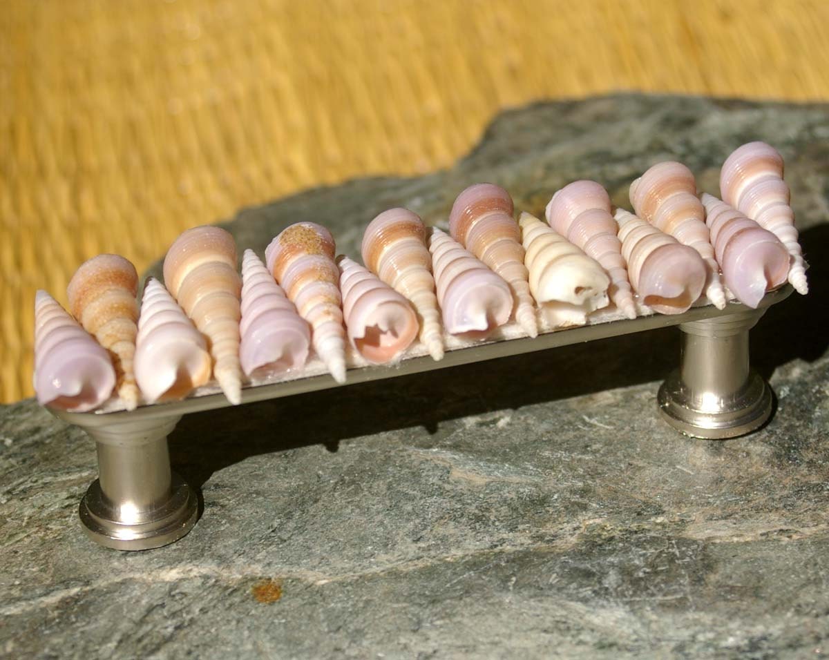 Shell Drawer Pull Knobs Kitchen Knobs and Pulls Sea