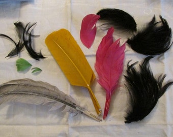Vintage FEATHER Lot Old MILLINERY HAT Trims