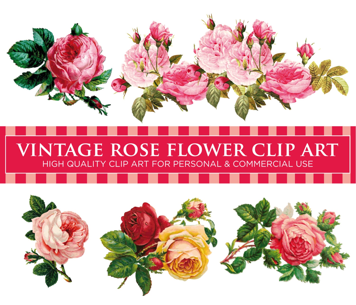 5 VINTAGE ROSE FLOWERS Pack No. 1 Floral Digital Clip Art