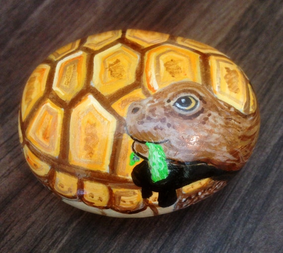 Items similar to Hand painted rock tortoise on Etsy