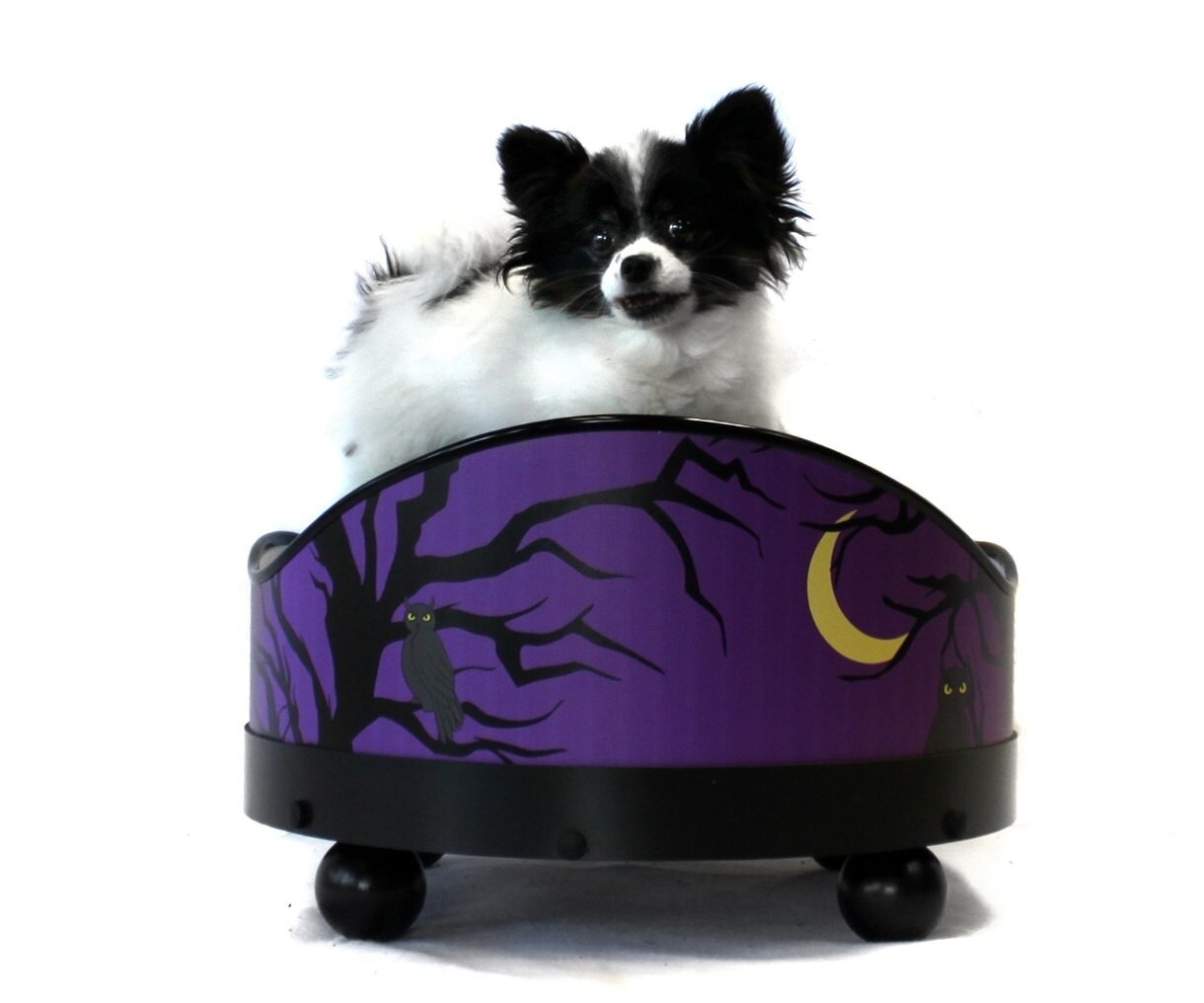 Sale Creepy Cool Small Halloween Dog Bed or Cat Bed by Smuccitoo