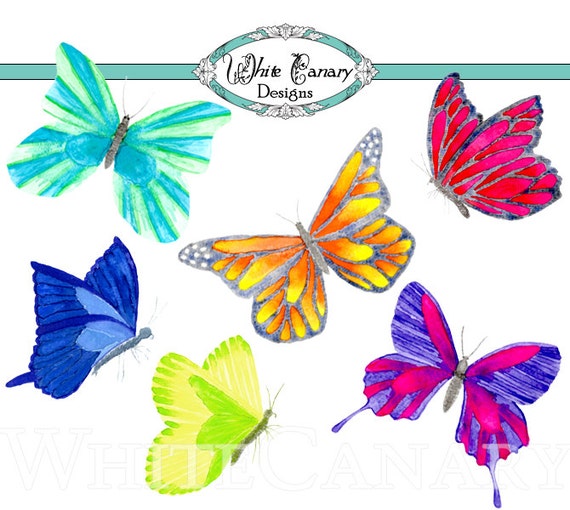 small butterfly clip art free - photo #41