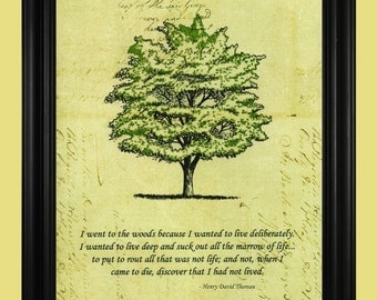 poem his argument book the of Thoreau Quote, Art Henry ee Drawing, Green Tr Nature David Beautiful