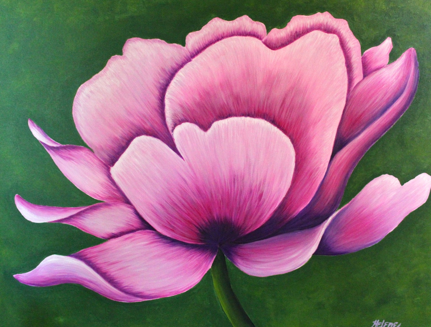 Large Flower Painting In Pink Acrylic On Canvas Ready To