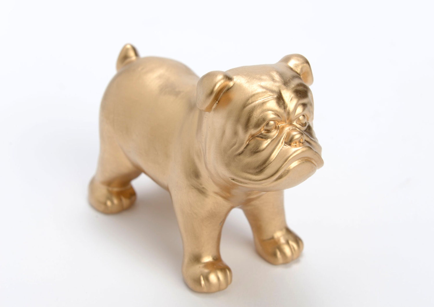 Statue of english bulldog golden ceramic by