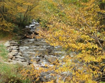Smoky Mountain photograph, home decor, autumn