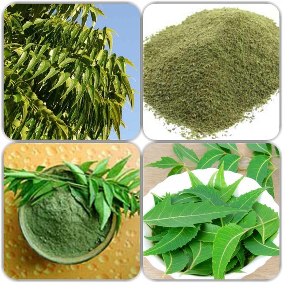 Neem Powder Organic Neem leaf powder 100 gram by
