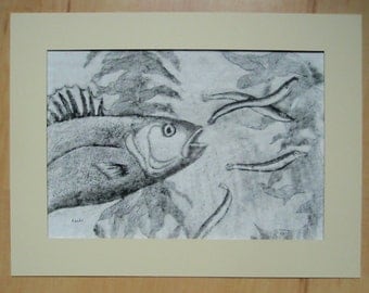 Sea Bass Catching Sand eel Black and White Intaglio Print