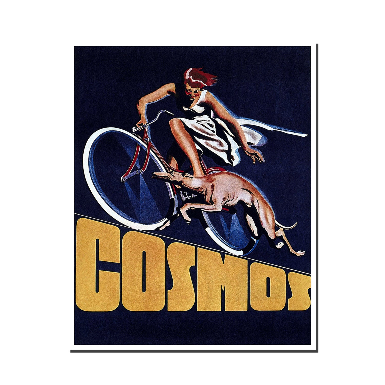 Vintage Cycling Poster 54