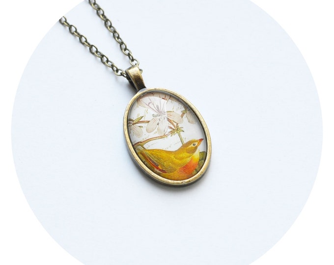 VINTAGE Oval pendant metal brass with a picture of a bird under glass