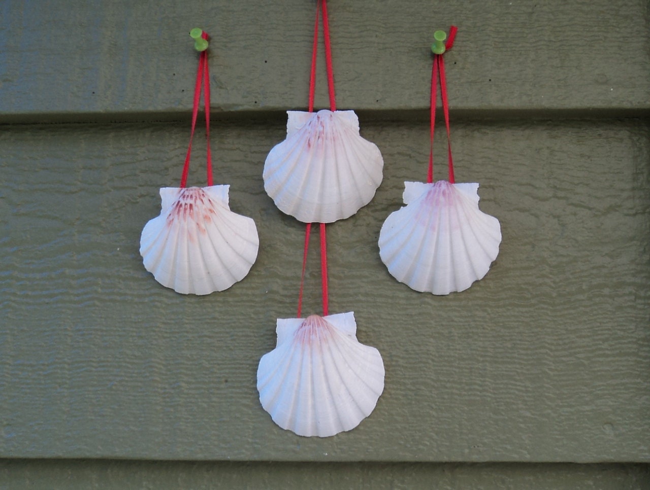 Lot of 4 Natural White Scallop Seashell Christmas Ornaments Hung on Red Ribbon