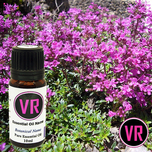10ml Red Thyme Thymus vulgaris Essential Oil Aromatherapy
