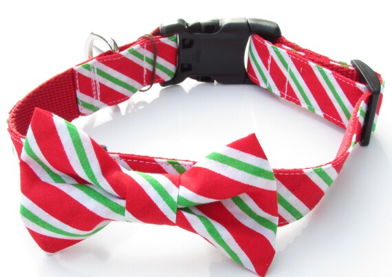 Red, White & Green Striped Collar