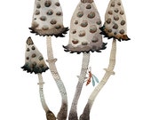 Shaggy Ink Caps Print, mushroom specimens, mycology, fungi, giclee art print