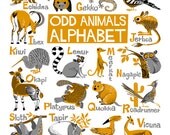 Items similar to Odd Animals Alphabet Poster. Limited edition digital ...