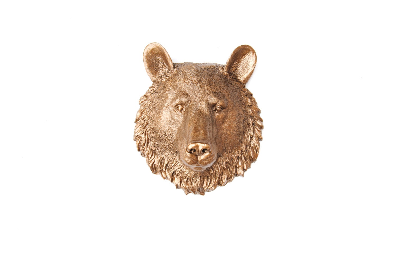 teddy bear head wall mount