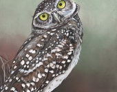Owl Painting - bird watercolor print- - Print of acrylic Painting A4 print Owl Painting - bird watercolor print- - Print of acrylic Painting A4 print